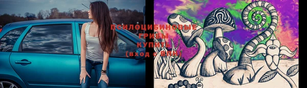 шишки Абинск