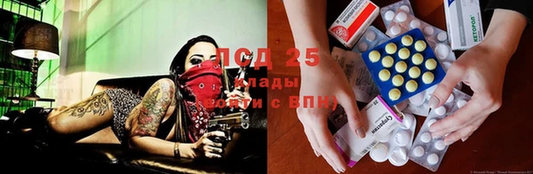 прущая мука Алзамай