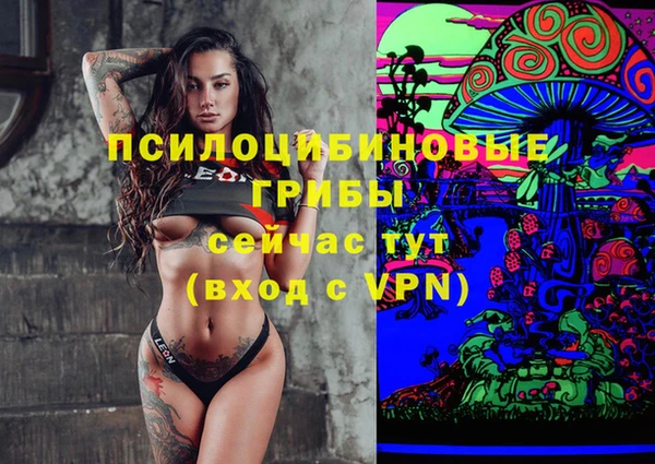 прущая мука Алзамай